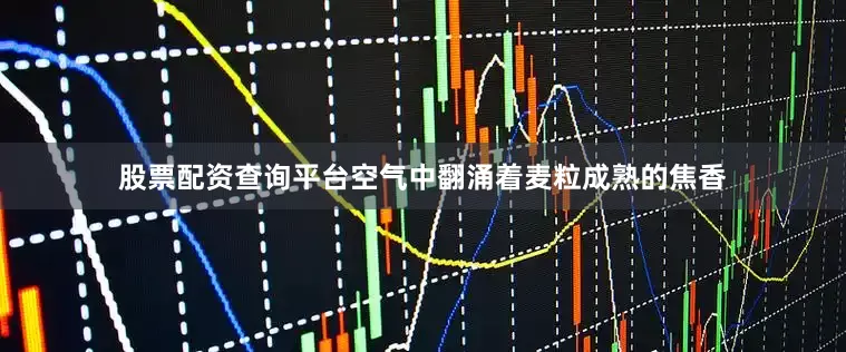 股票配资查询平台空气中翻涌着麦粒成熟的焦香