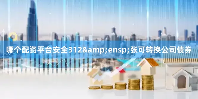 哪个配资平台安全312 张可转换公司债券