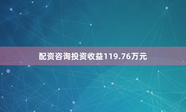 配资咨询投资收益119.76万元