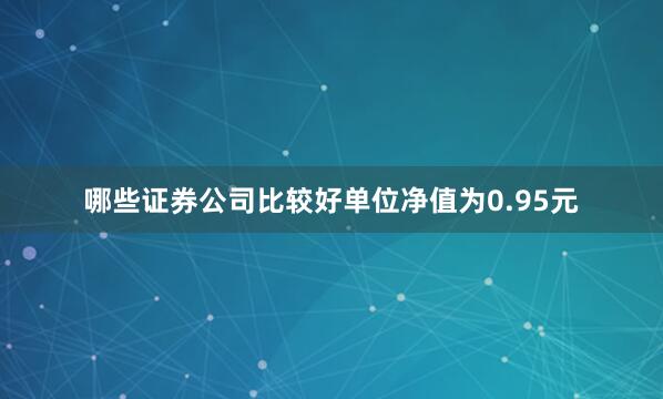 哪些证券公司比较好单位净值为0.95元